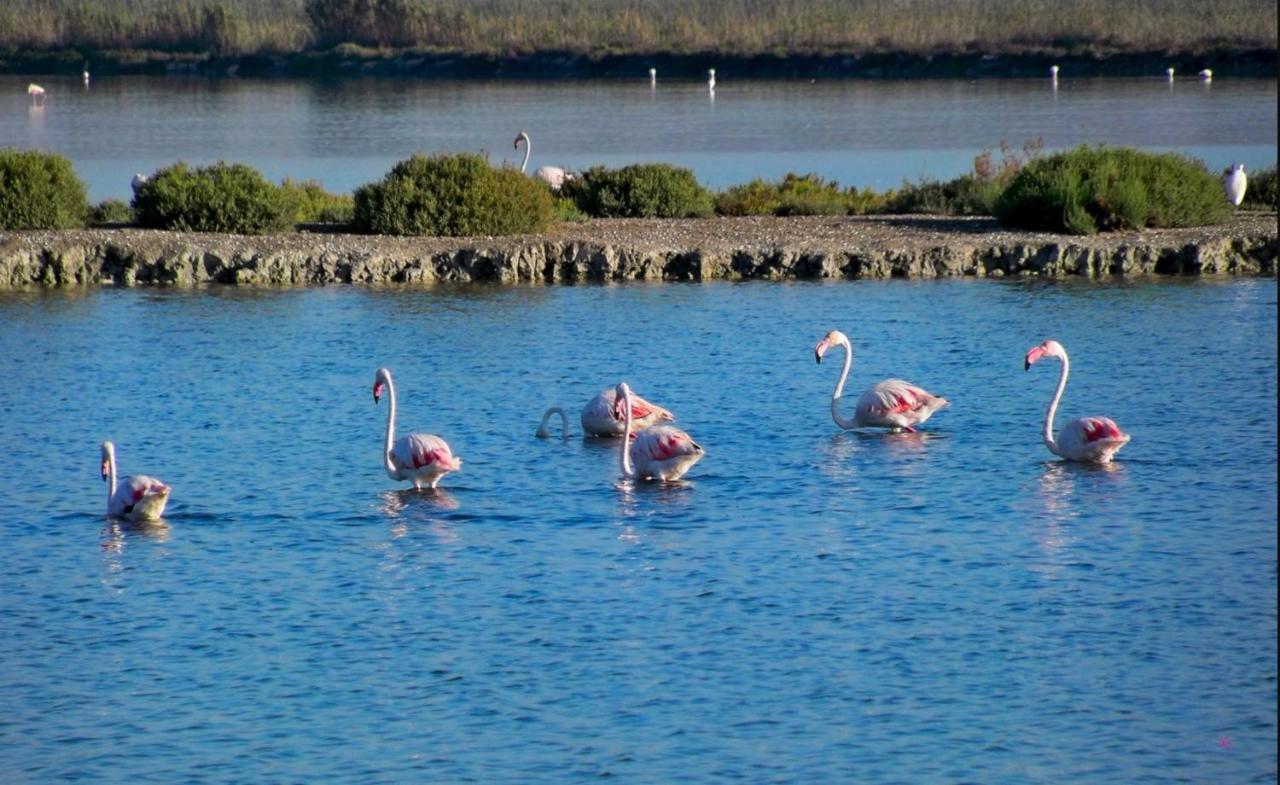 Apartamento Paraiso En Santa Pola Exteriér fotografie